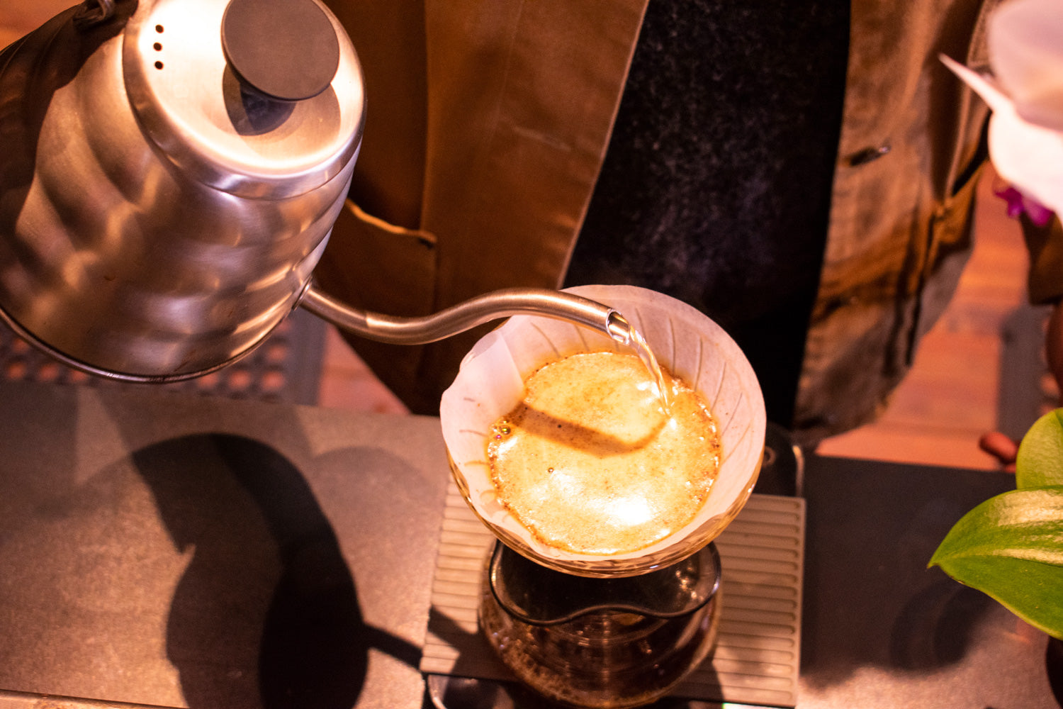 Hario V60