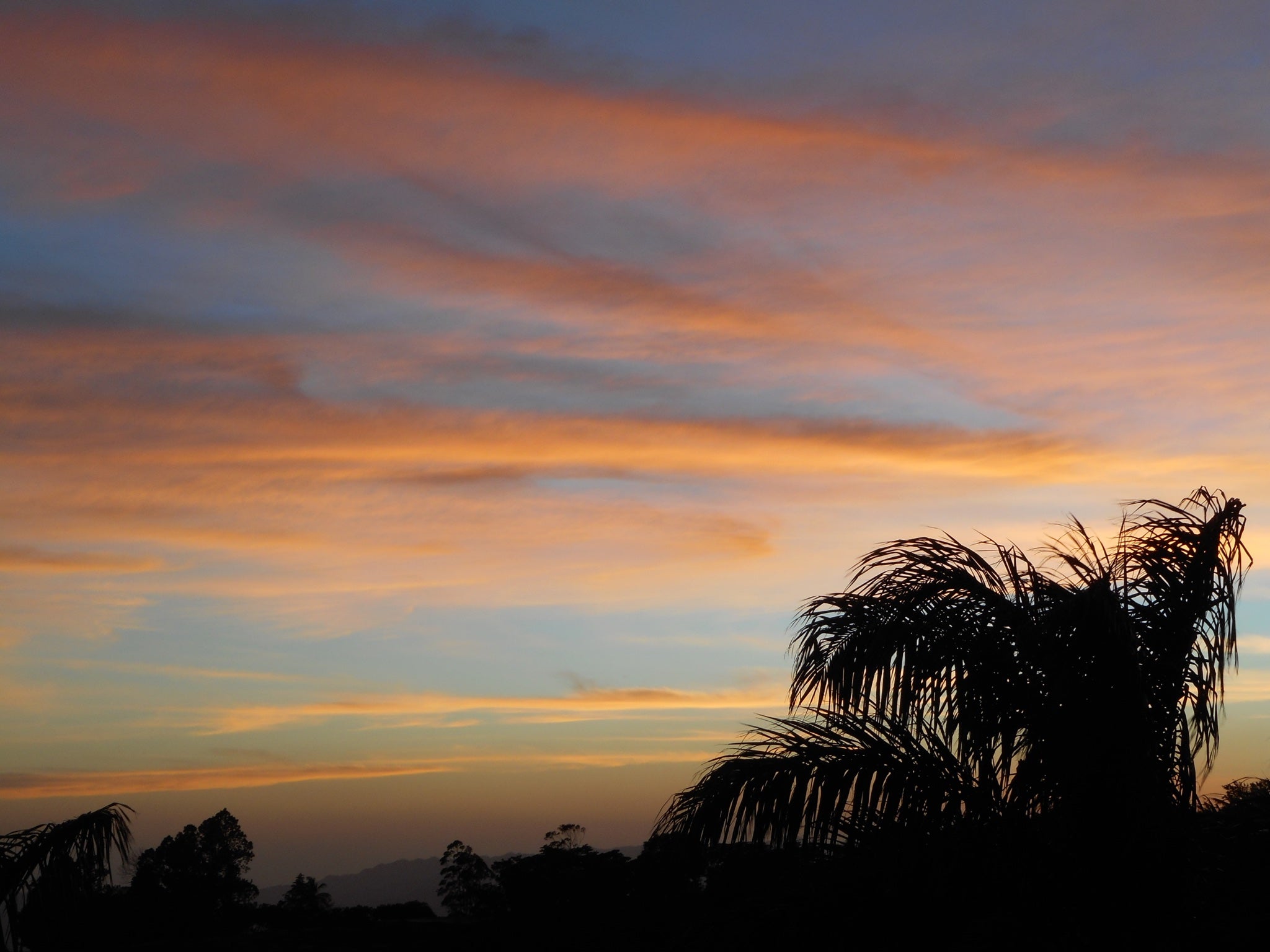 The story of Perla Negra