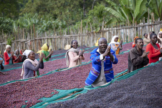Ethiopia Yirgacheffe Idedo Wako